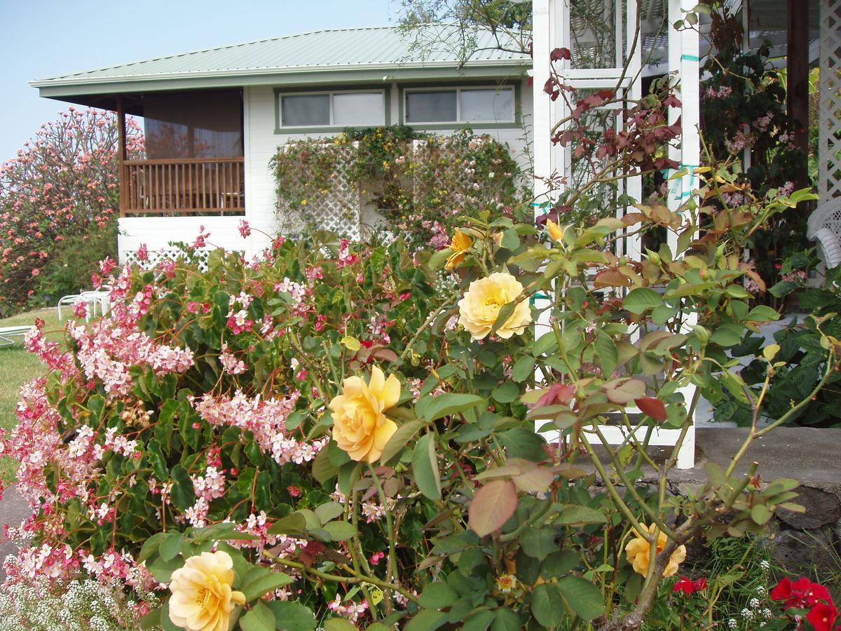 캡틴 쿡 Belle Vue Kona Inc B&B 외부 사진